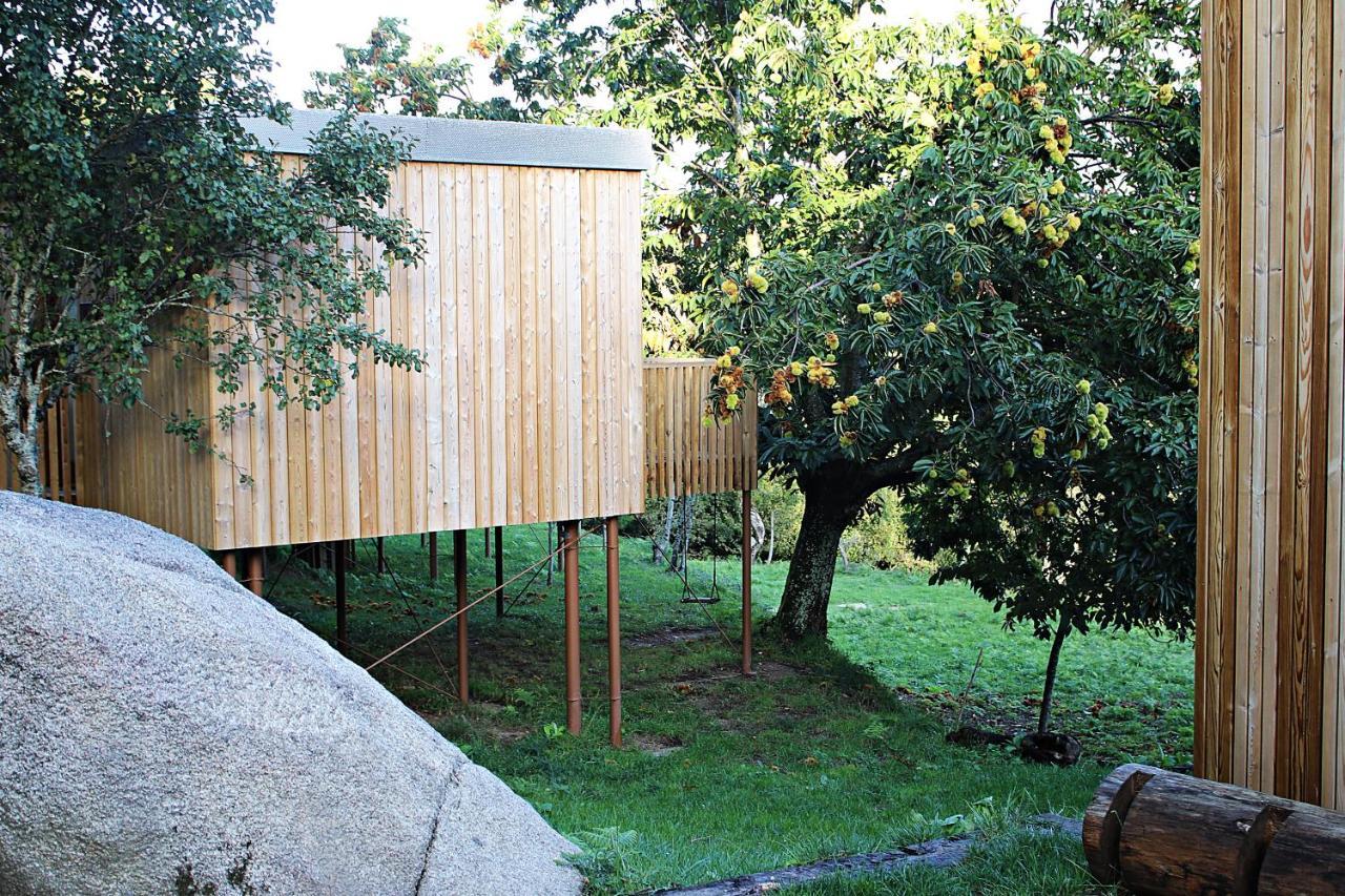 Aloia Nature, Alojamiento Forestal Tui Exterior foto